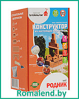 Конструктор-кирпичики Родник (Brickmaster)