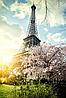 Фотообои Весна в париже