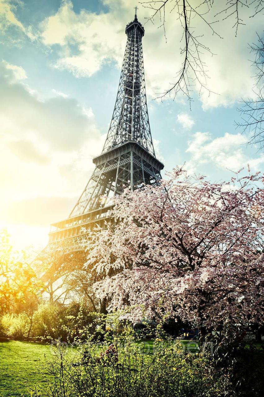 Фотообои Весна в париже - фото 1 - id-p161725522