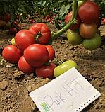 Томат Пинк Хит F1, семена, 500 шт., Турция, (проф. упак.), фото 3