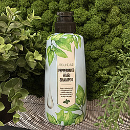 Шампунь для волос с экстрактом мяты Welcos Around Me Peppermint Hair Shampoo (500мл)