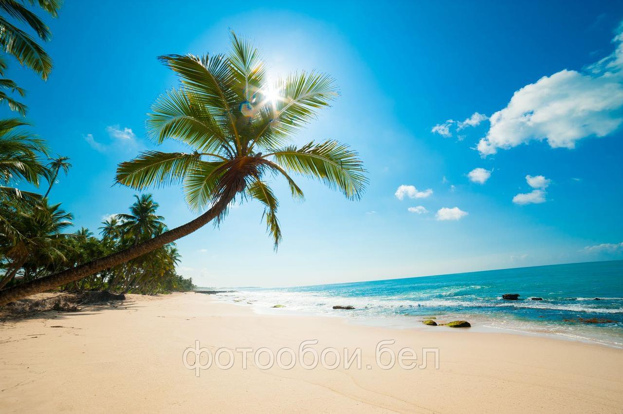 Фотообои Кокосовый пляж