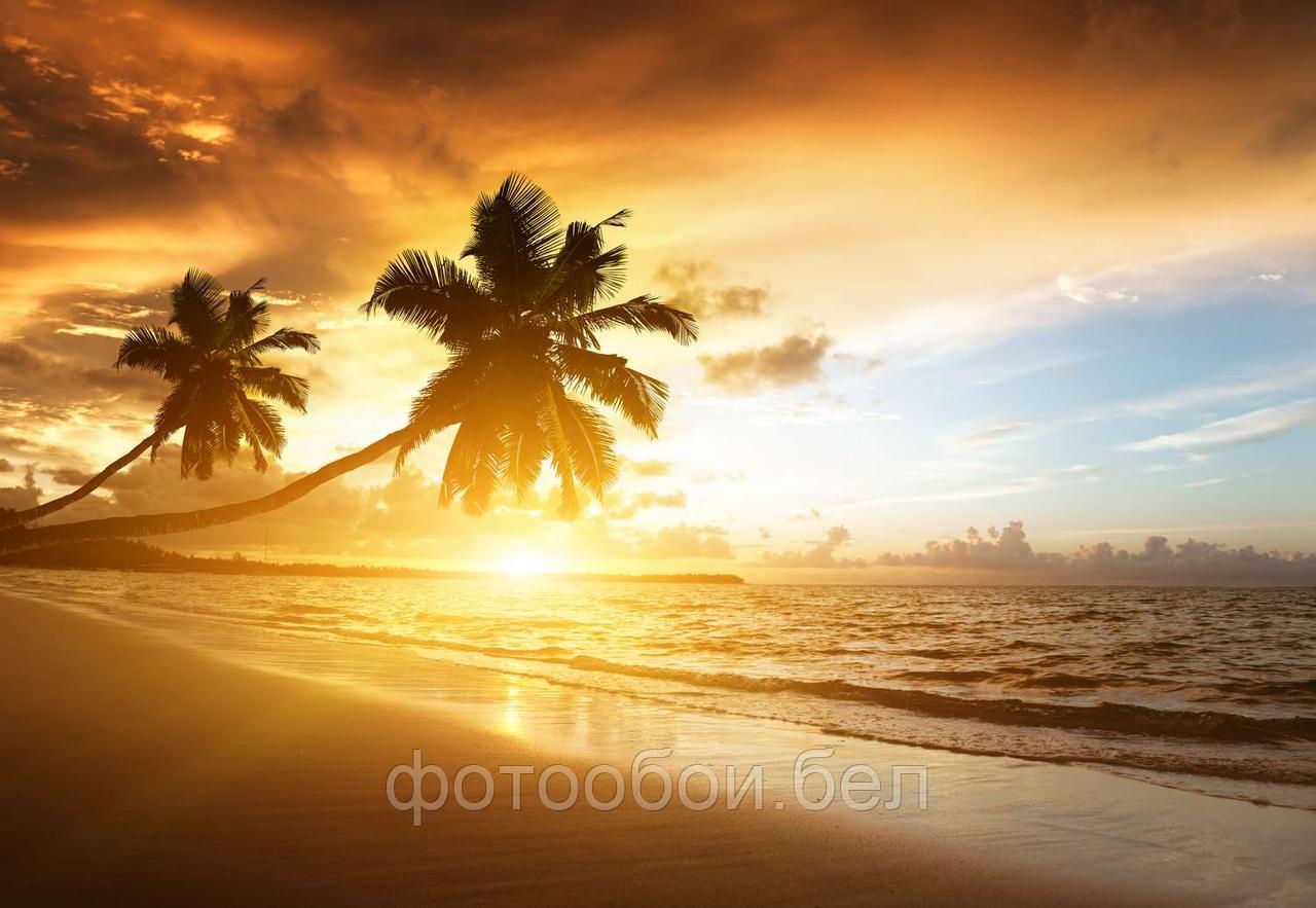 Фотообои Пляж Доминиканы - фото 1 - id-p161917101