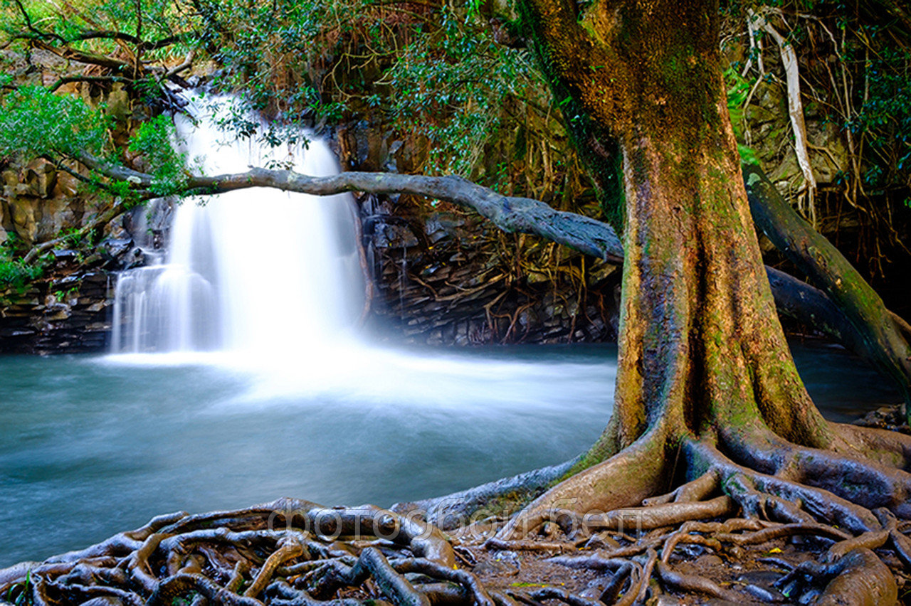 Фотообои Водопад в Мауи - фото 1 - id-p161926476