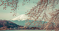 Фотообои Гора Фудзи весной