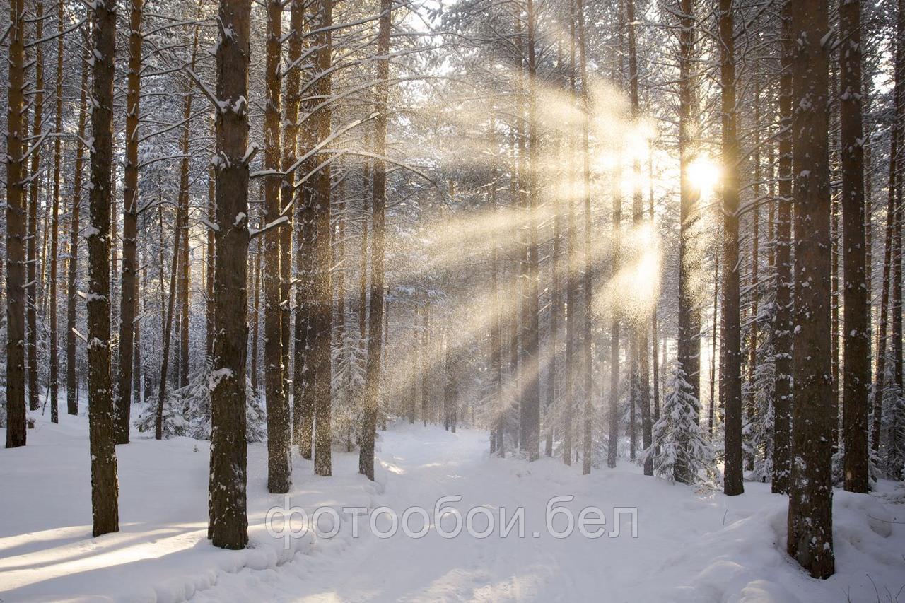 Фотообои Мороз и солнце