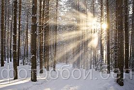 Фотообои Мороз и солнце