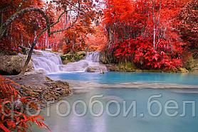Фотообои Осенний водопад