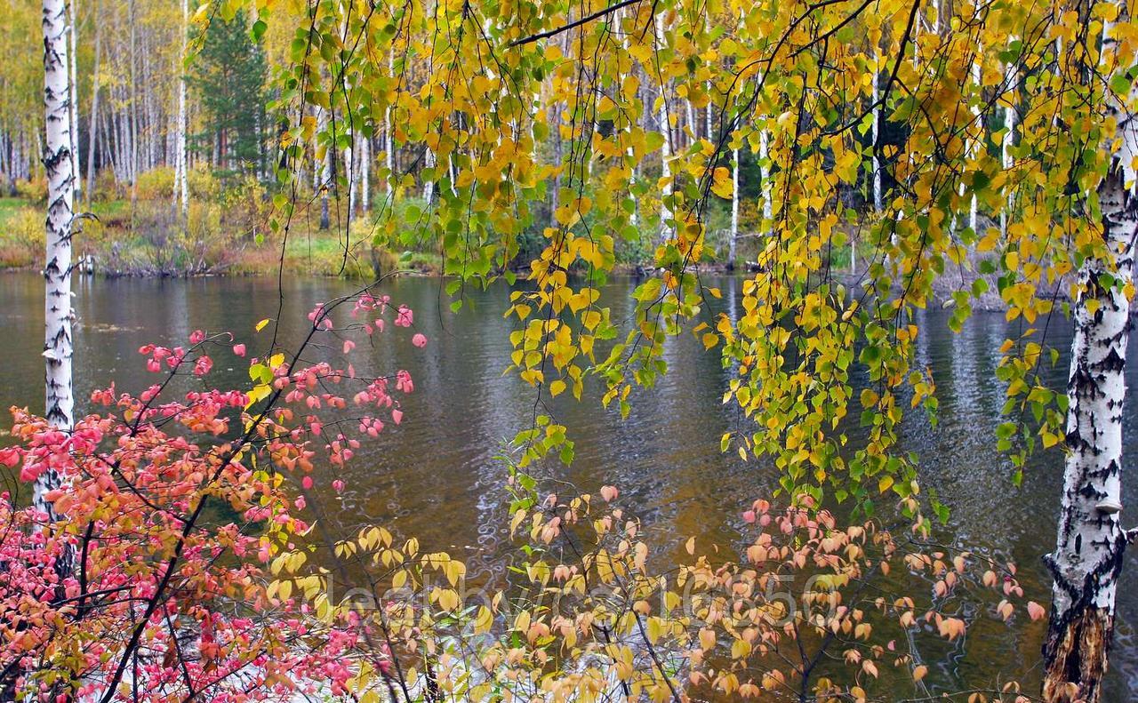 Фотообои Пейзаж с рекой