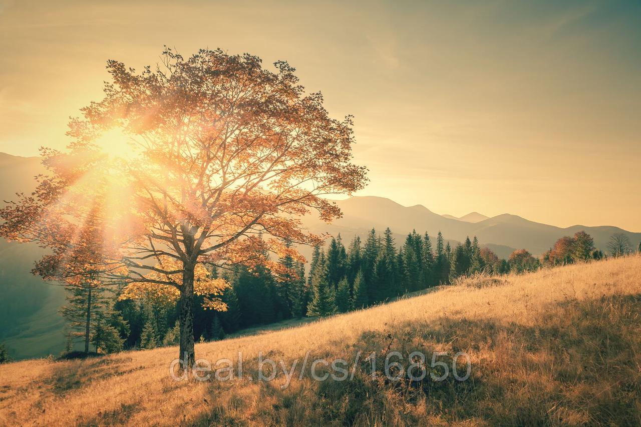 Фотообои Рассвет в горах