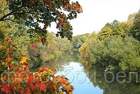Фотообои Осень над рекой