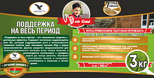 Средство по уходу за газоном Поддержка на весь период 3 кг