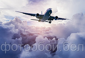 Фотообои Самолет в небе