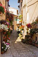 Фотообои Цветочный переулок