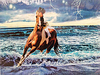 Алмазная мозаика " Конь на берегу моря"