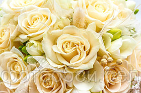 Фотообои Золотые розы