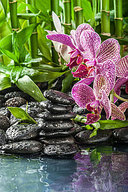 Фотообои Камни и орхидея