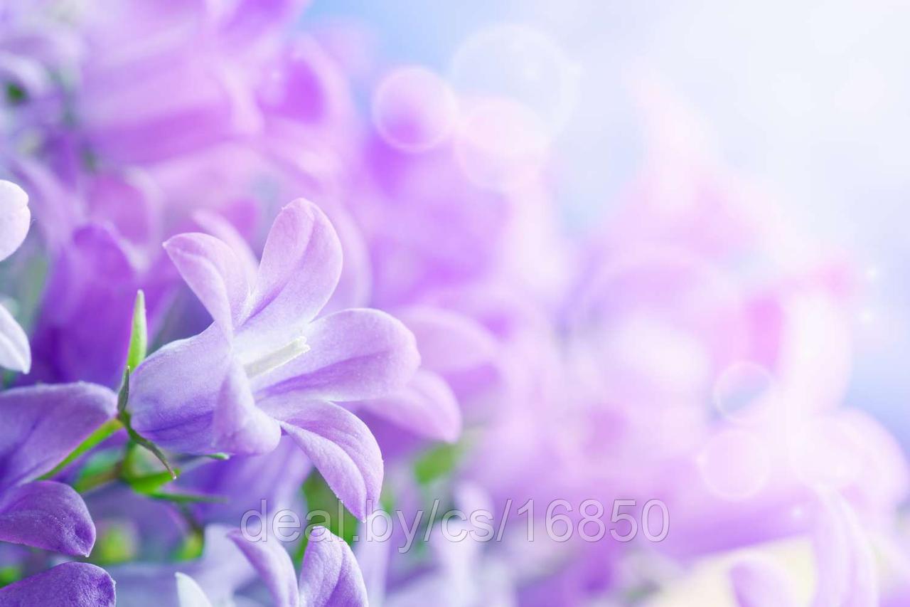 Фотообои Колокольчики