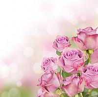 Фотообои Лучезарные розы