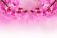 Фотообои Орхидея в зеркале
