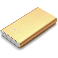 Портативное зарядное устройство Yoobao PL10 Gold, фото 2