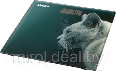 Напольные весы электронные Aresa AR-4412 - фото 3 - id-p158381873