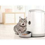 Умная автоматическая кормушка для кошек и собак Petoneer Visual Feeder (FDW020), фото 4