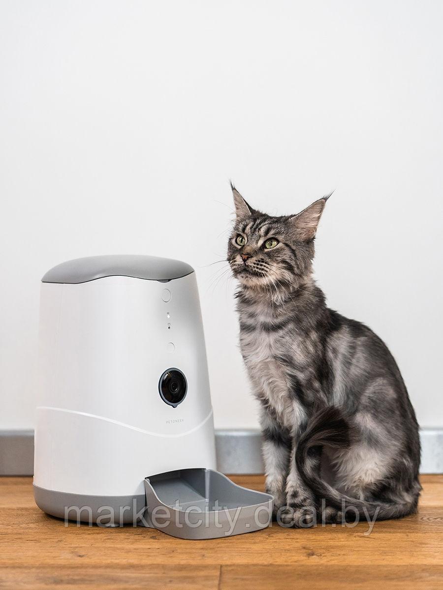 Умная автоматическая кормушка для кошек и собак Petoneer Visual Feeder (FDW020)