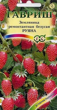 Земляника Руяна. 0,03 г. "Гавриш", Россия.