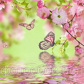Фотообои Сакура и бабочка
