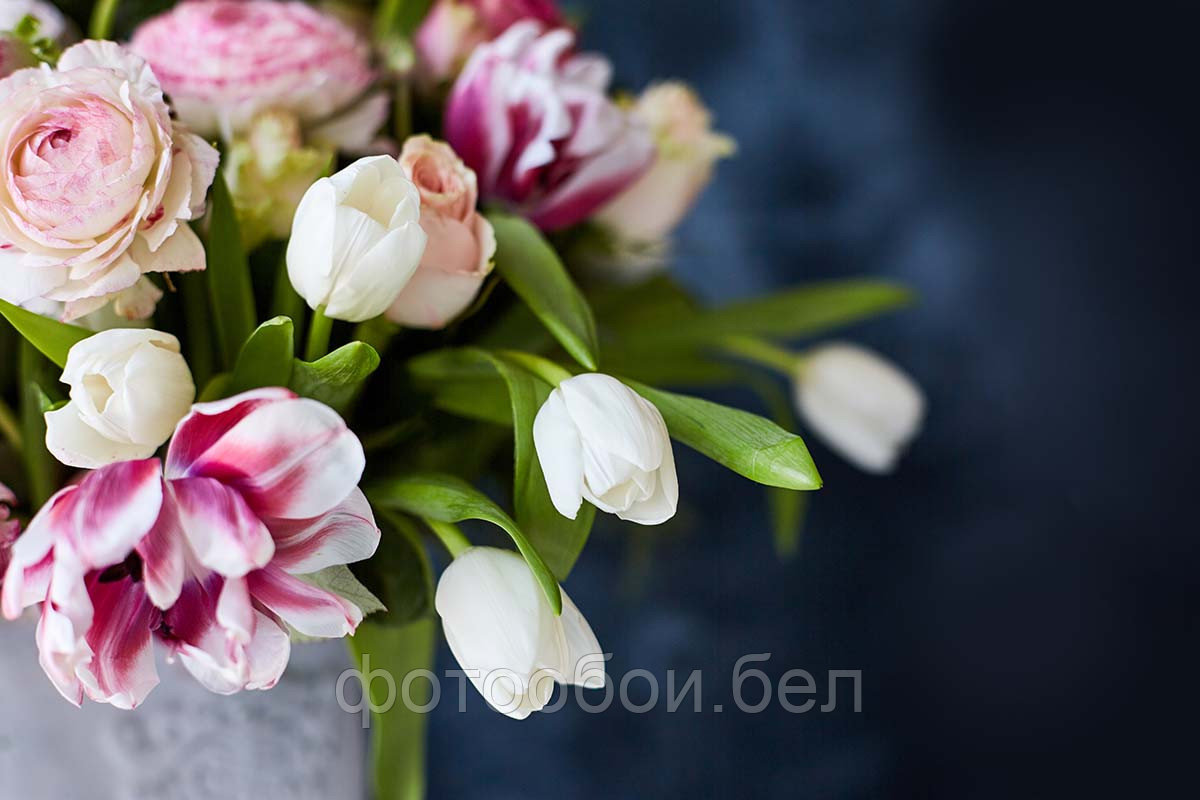Фотообои Тюльпаны в букете - фото 1 - id-p162286600