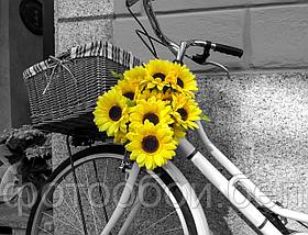 Фотообои Подсолнухи и велосипед