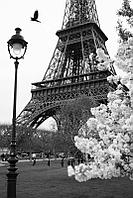 Фотообои Черно-белый Париж