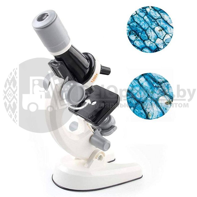 Детский набор Юный биолог Микроскоп Scientific Microscope с приборами для опыта Желтый - фото 4 - id-p146637343
