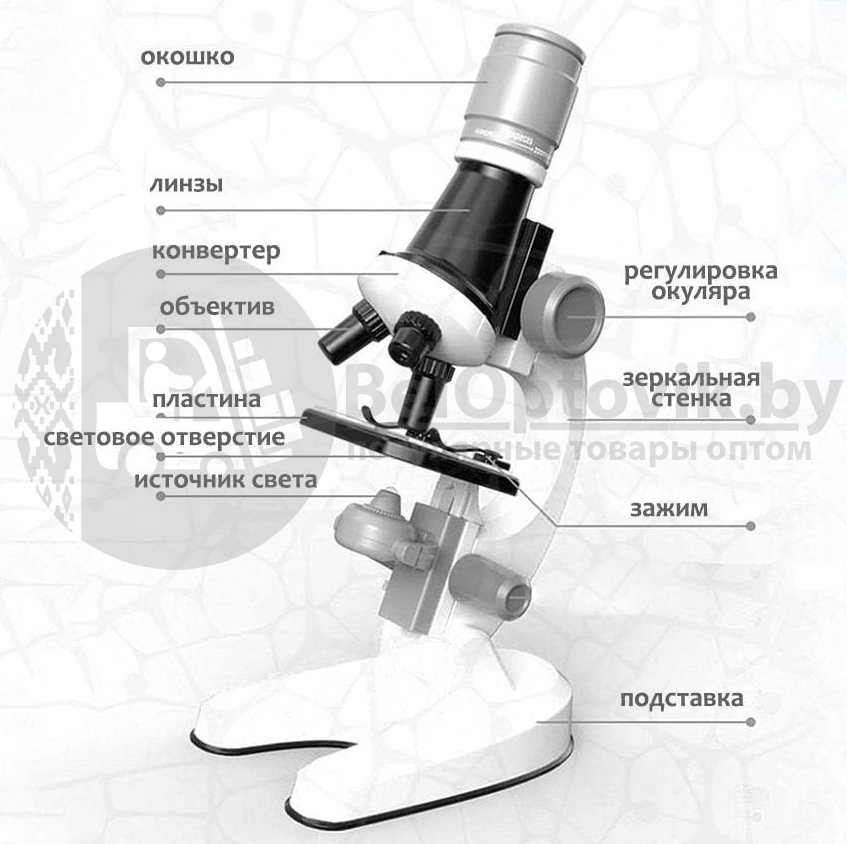 Детский набор Юный биолог Микроскоп Scientific Microscope с приборами для опыта Желтый - фото 8 - id-p146637343