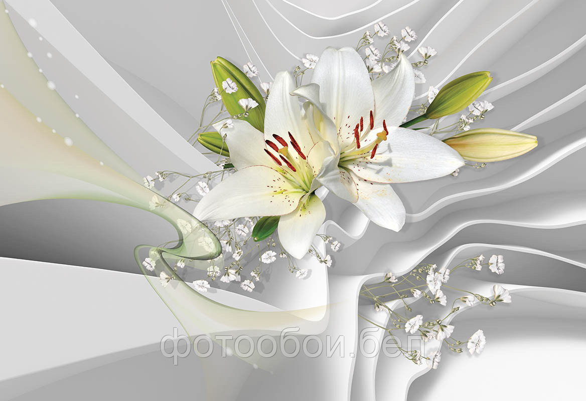 Фотообои 3Д белые лилии - фото 1 - id-p162417217