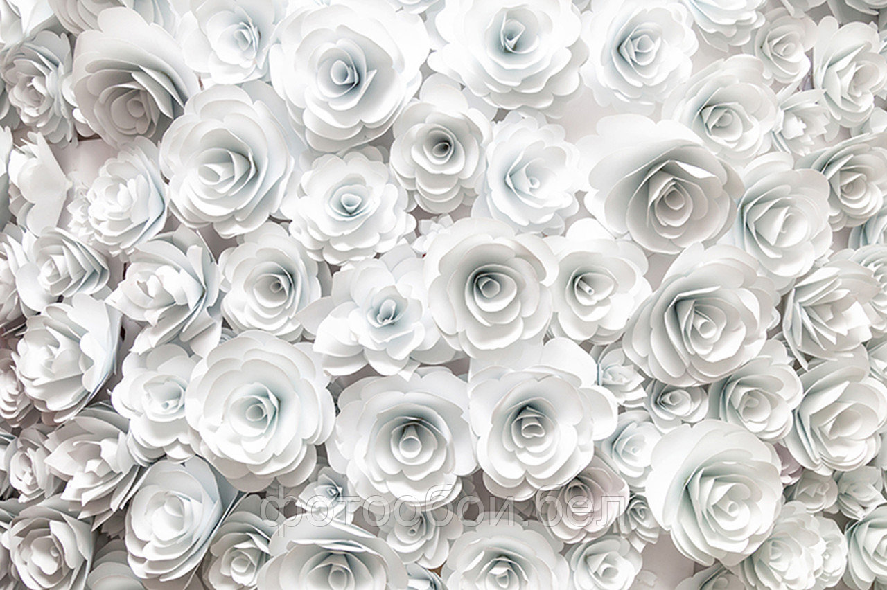 Фотообои Белые цветы 3Д - фото 1 - id-p162417249