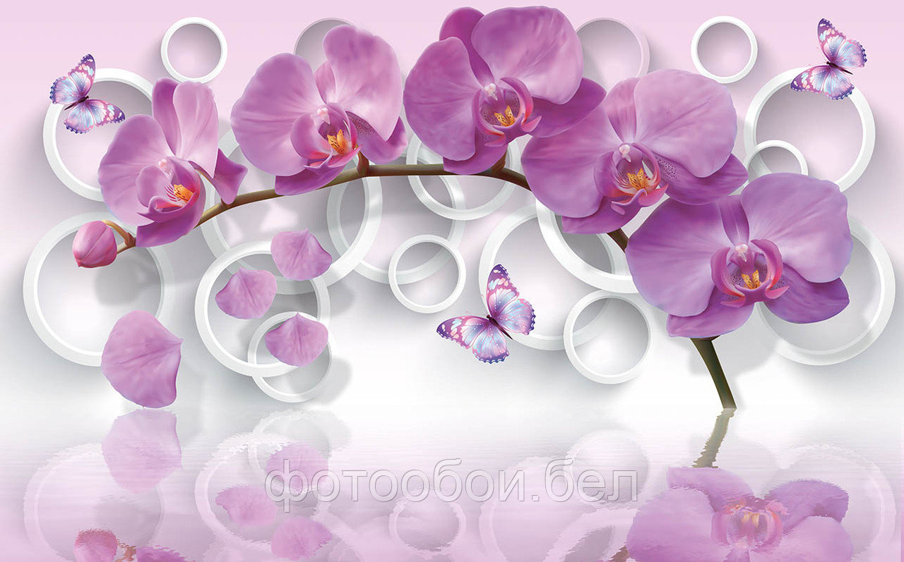 Фотообои Орхидея и круги - фото 1 - id-p162417280