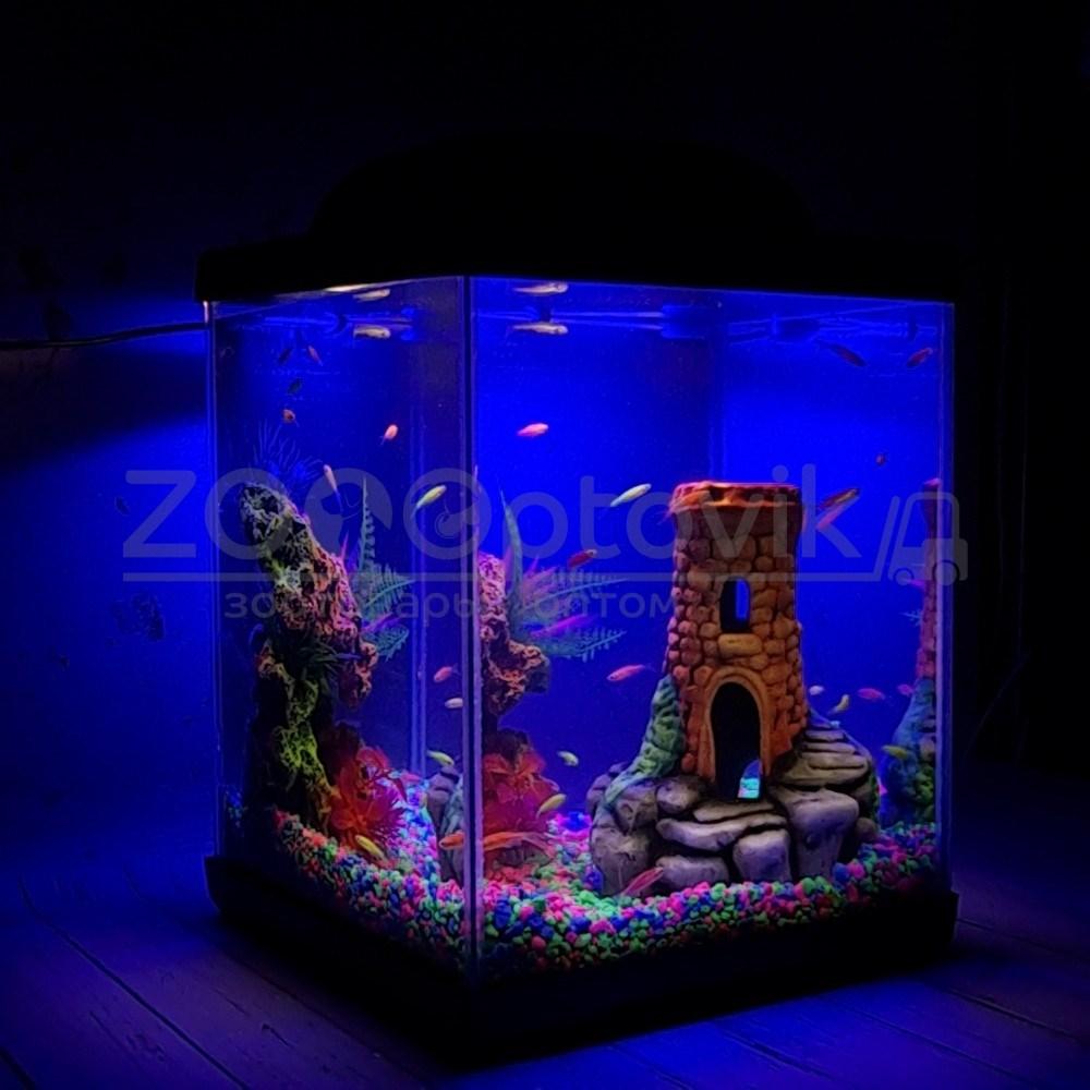 AQUA Аквариум Куб Aqua Glo на 20л. день/ночь с рыбками данио GloFish - фото 1 - id-p162488119