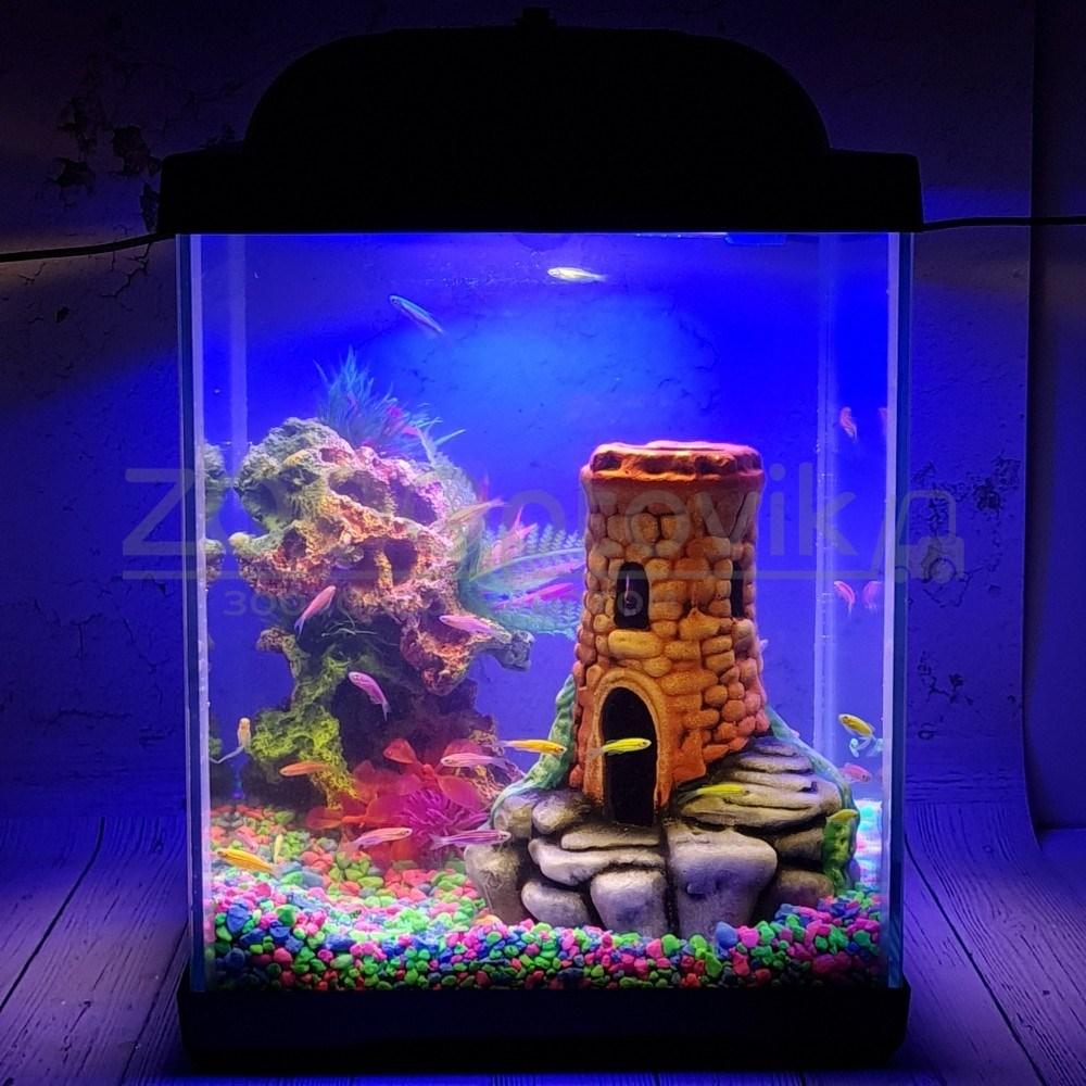 AQUA Аквариум Куб Aqua Glo на 20л. день/ночь с рыбками данио GloFish - фото 4 - id-p162488119