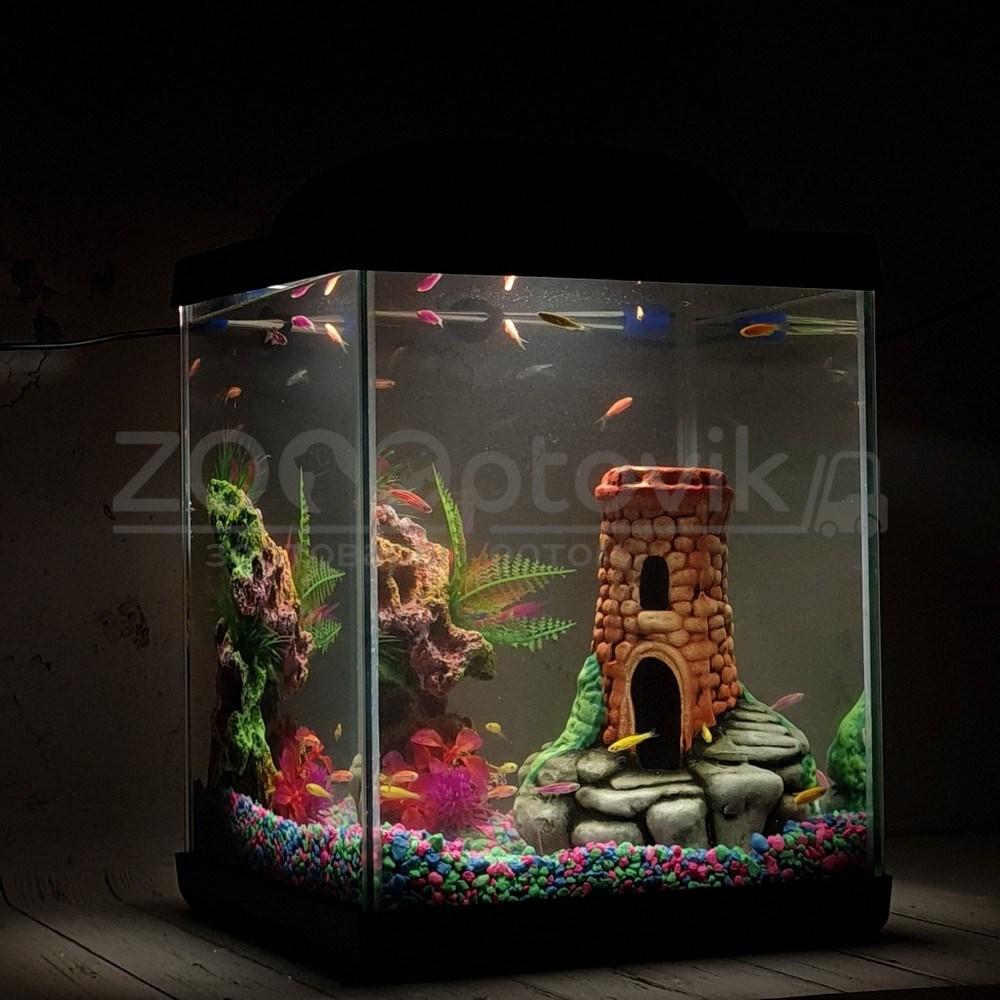 AQUA Аквариум Куб Aqua Glo на 20л. день/ночь с рыбками данио GloFish - фото 5 - id-p162488119