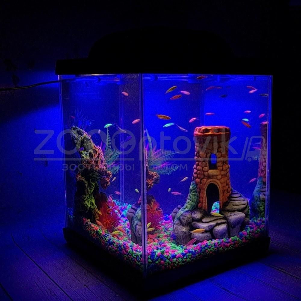 AQUA Аквариум Куб Aqua Glo на 20л. день/ночь с рыбками данио GloFish - фото 6 - id-p162488119