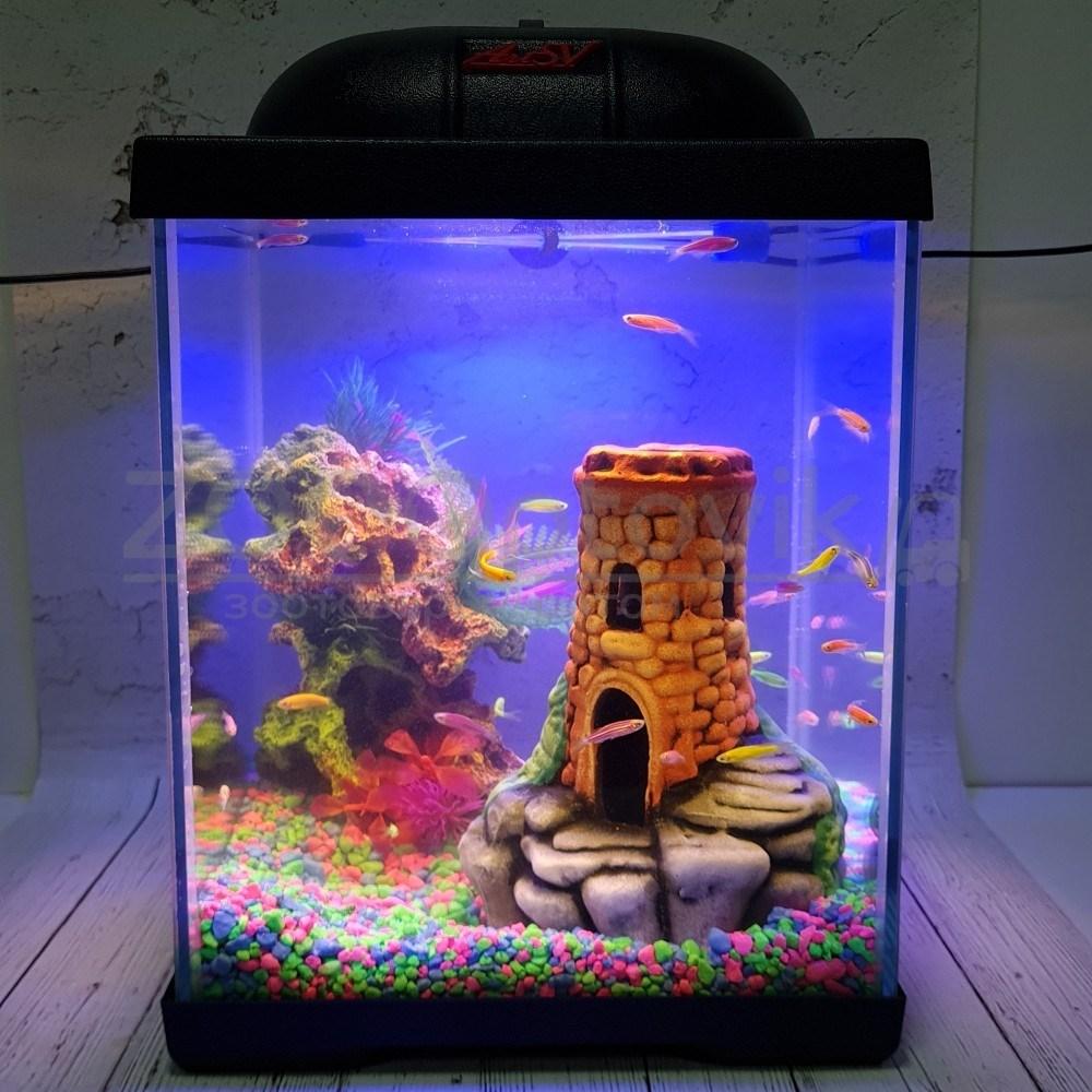 AQUA Аквариум Куб Aqua Glo на 20л. день/ночь с рыбками данио GloFish - фото 9 - id-p162488119