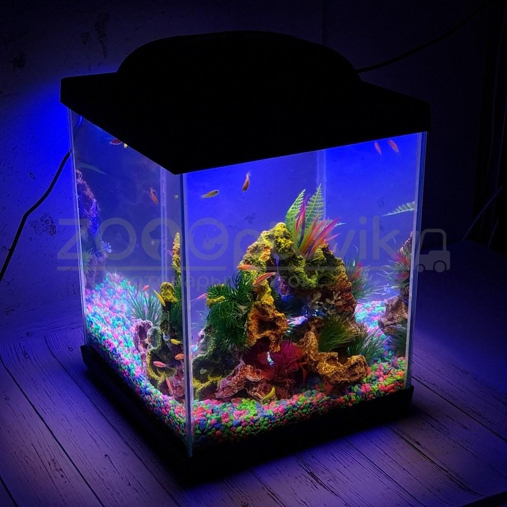AQUA Аквариум Куб Aqua Glo на 20л. день/ночь с рыбками данио GloFish Reff - фото 1 - id-p162488120