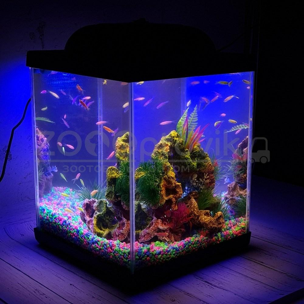 AQUA Аквариум Куб Aqua Glo на 20л. день/ночь с рыбками данио GloFish Reff - фото 2 - id-p162488120