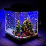 AQUA Аквариум Куб Aqua Glo на 20л. день/ночь с рыбками данио GloFish Reff, фото 2