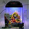 AQUA Аквариум Куб Aqua Glo на 20л. день/ночь с рыбками данио GloFish Reff, фото 4