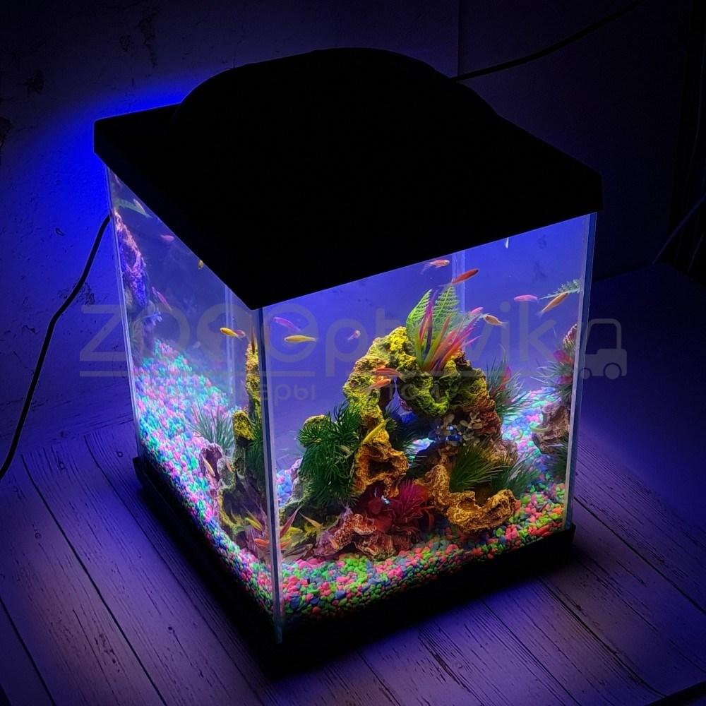 AQUA Аквариум Куб Aqua Glo на 20л. день/ночь с рыбками данио GloFish Reff - фото 5 - id-p162488120