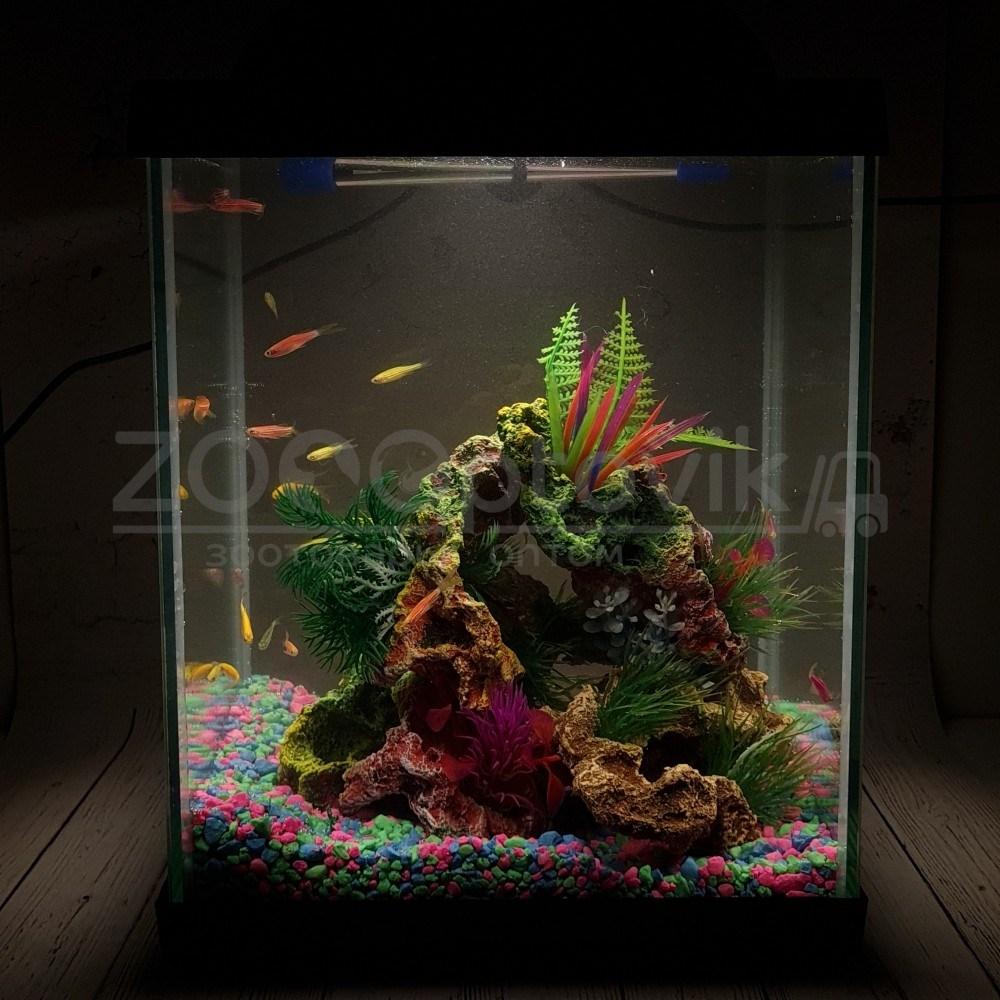AQUA Аквариум Куб Aqua Glo на 20л. день/ночь с рыбками данио GloFish Reff - фото 6 - id-p162488120