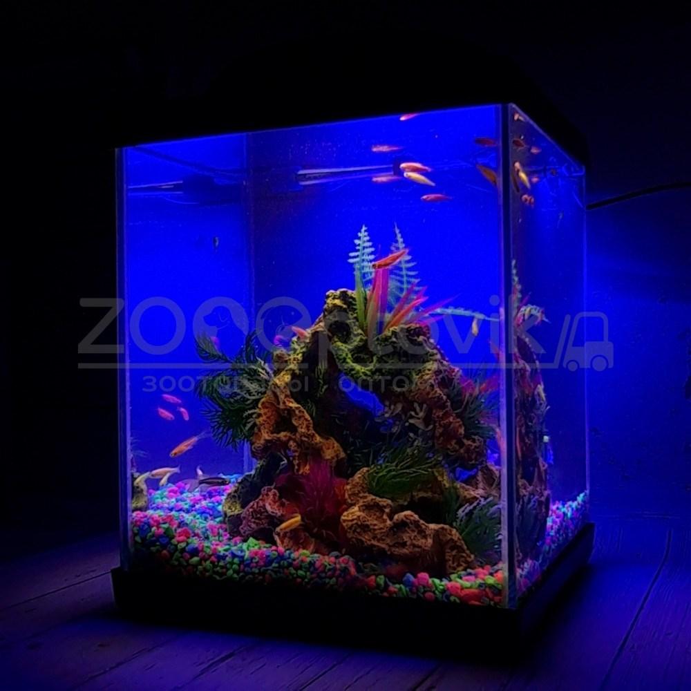 AQUA Аквариум Куб Aqua Glo на 20л. день/ночь с рыбками данио GloFish Reff - фото 7 - id-p162488120